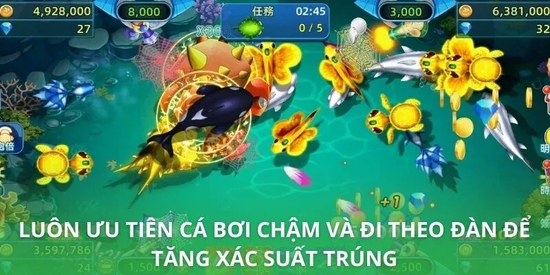 Luôn ưu tiên cá bơi chậm và đi theo đàn để tăng xác suất trúng