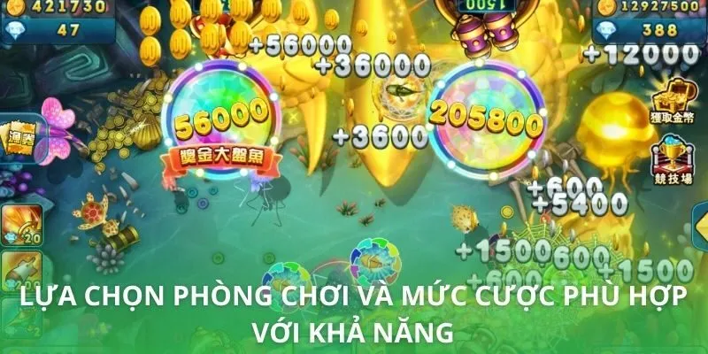 Lựa chọn phòng chơi và mức cược phù hợp với khả năng