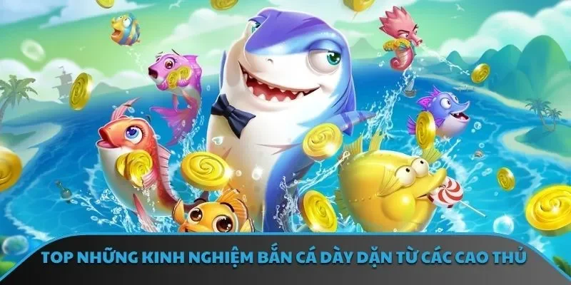 TOP những kinh nghiệm bắn cá dày dặn từ các cao thủ