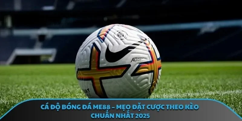 Cá Độ Bóng Đá