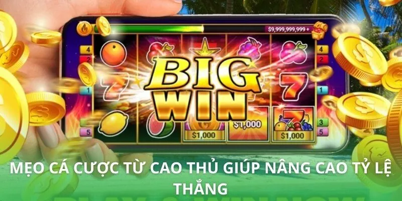 Mẹo cá cược từ cao thủ giúp nâng cao tỷ lệ thắng