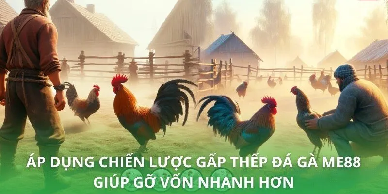Áp dụng chiến lược gấp thếp đá gà ME88 giúp gỡ vốn nhanh hơn