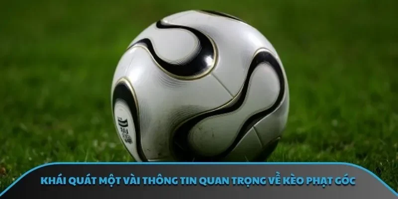 Khái quát một vài thông tin quan trọng về kèo phạt góc