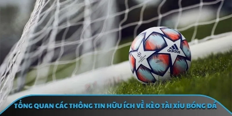 Tổng quan các thông tin hữu ích về kèo tài xỉu bóng đá