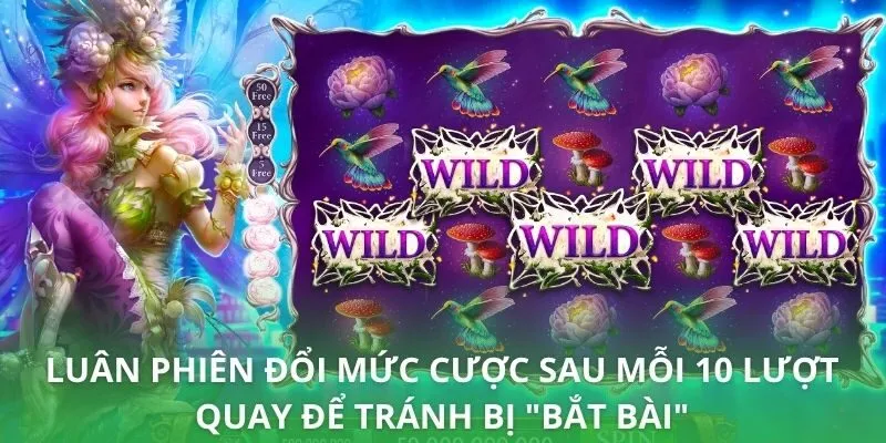 Luân phiên đổi mức cược sau mỗi 10 lượt quay để tránh bị "bắt bài"