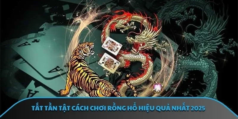 Tất tần tật cách chơi rồng hổ hiệu quả nhất 2025